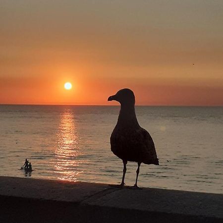 Camping Les Falaises De Toussaint Экстерьер фото