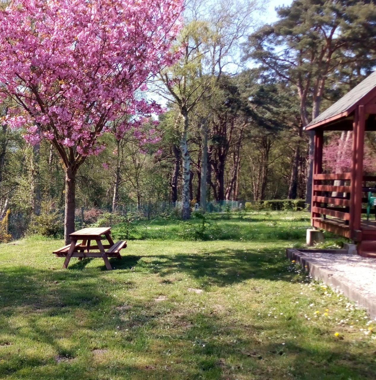 Camping Les Falaises De Toussaint Экстерьер фото